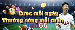 mb66